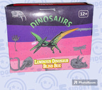 Luminous Dinosaur Blind Box